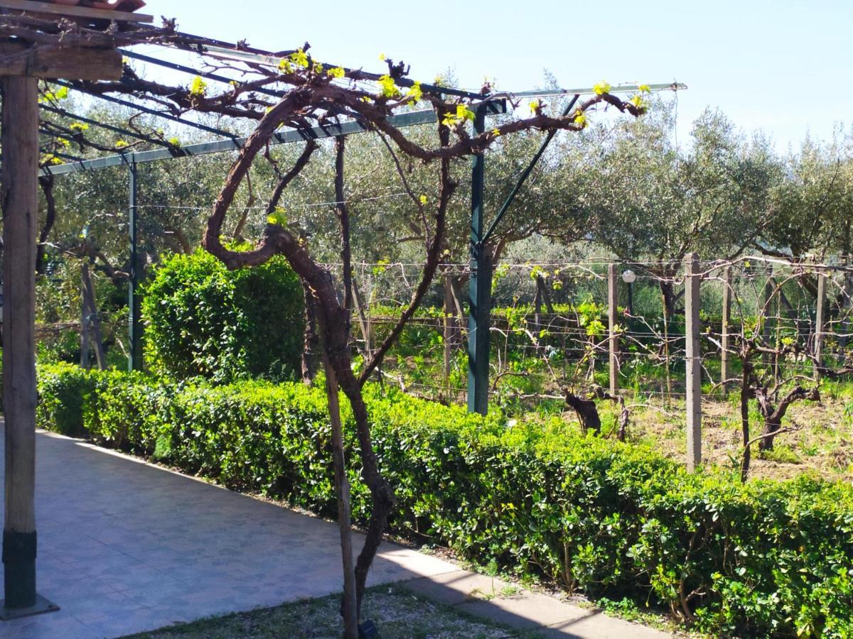 Il Vigneto "Cottage" Gaggi ภายนอก รูปภาพ