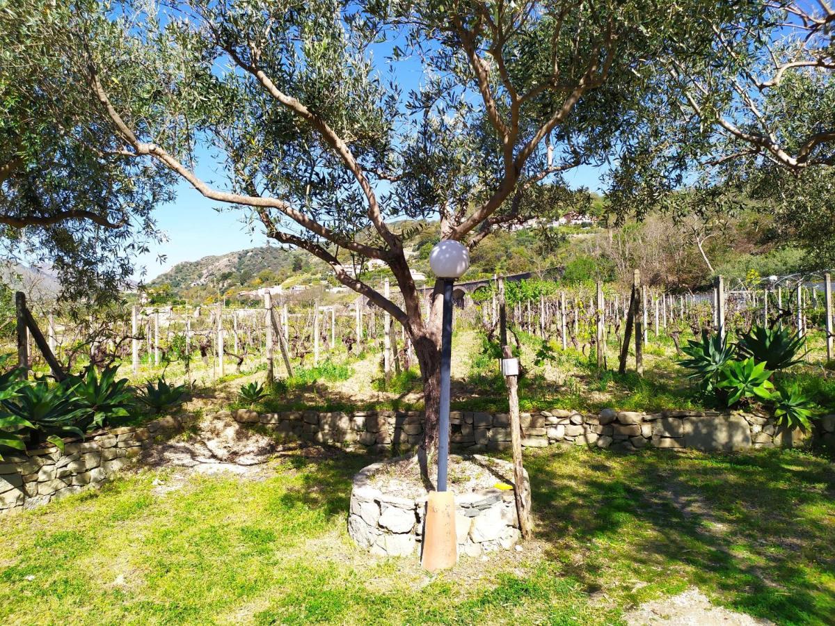 Il Vigneto "Cottage" Gaggi ภายนอก รูปภาพ