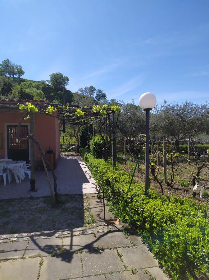 Il Vigneto "Cottage" Gaggi ภายนอก รูปภาพ