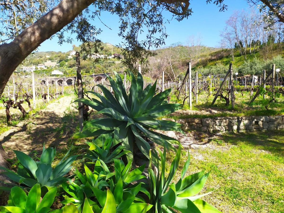 Il Vigneto "Cottage" Gaggi ภายนอก รูปภาพ
